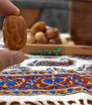 خرمای زاهدی با کیفیت و قیمت مناسب در تهران