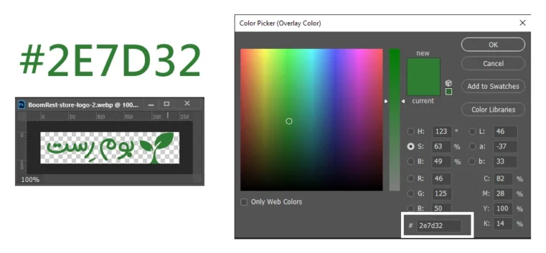 رنگ سازمانی شرکت بوم رست