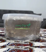 حلوا شکری با مغز پسته - بسیار نرم و تازه