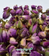 غنچه گل سرخ - خرید از بوم رست