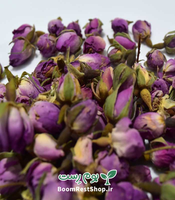 غنچه گل سرخ - خرید از بوم رست