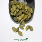 هل اکبر بنفش - بوم رست با کیفیت و قمیت جذاب