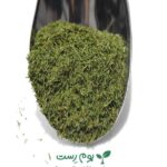 شوید خشک - سبزی پرکاربرد و خوش خوراک در بوم رست