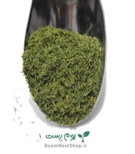 شوید خشک - سبزی پرکاربرد و خوش خوراک در بوم رست