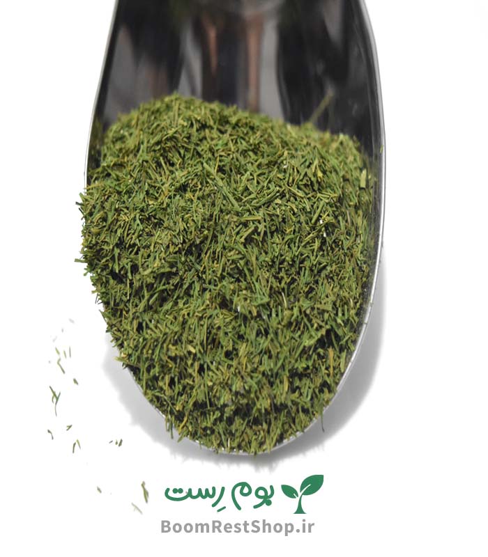 شوید خشک - سبزی پرکاربرد و خوش خوراک در بوم رست