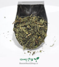 بادرنجبویه