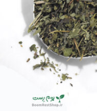بادرنجبویه