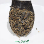 اسطوخودوس در بوم رست