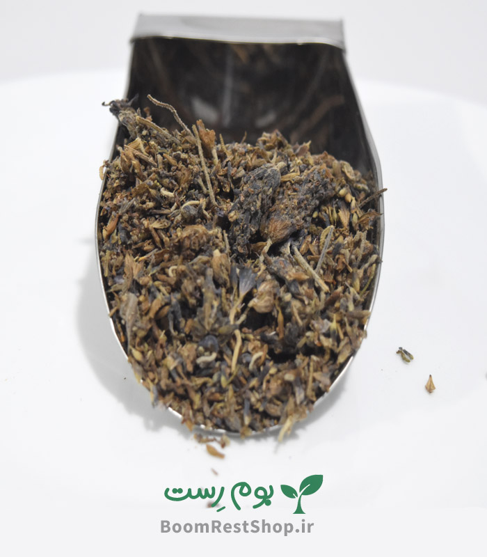 اسطوخودوس در بوم رست