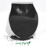 تخم شربتی درجه 1 - خرید از بوم رست