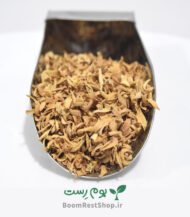 بهار نارنج در بوم رست