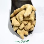 زنجبیل قلم چینی - بوم رست