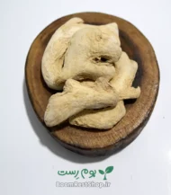 زنجبیل قلم چینی - بوم رست