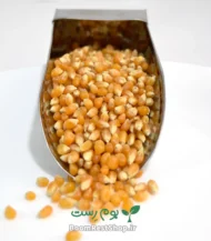 ذرت پاپ کورن (ذرت پفیلا)