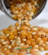 ذرت پاپ کورن (ذرت پفیلا)