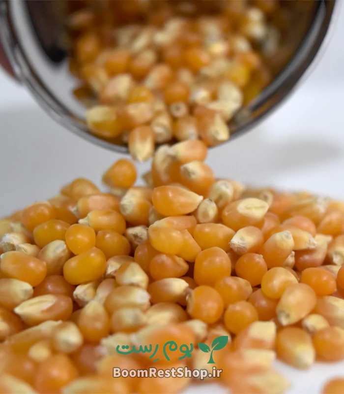 ذرت پاپ کورن (ذرت پفیلا)