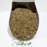 زیره سبز - تازه و با کیفیت